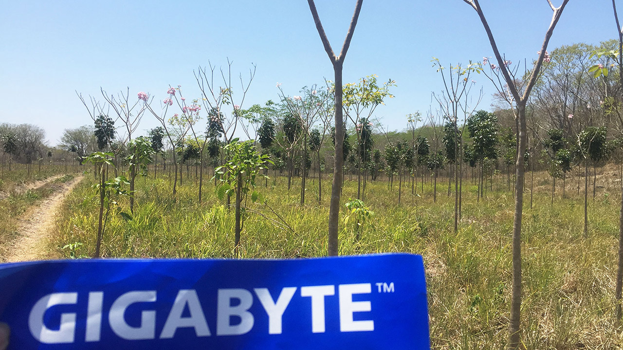 GIGABYTE & Plant-for-the-planet 06
